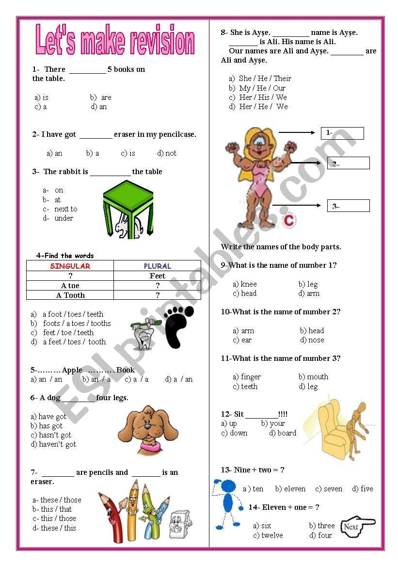 Revision Test For Beginners ESL Worksheet By Spring Worksheets Library