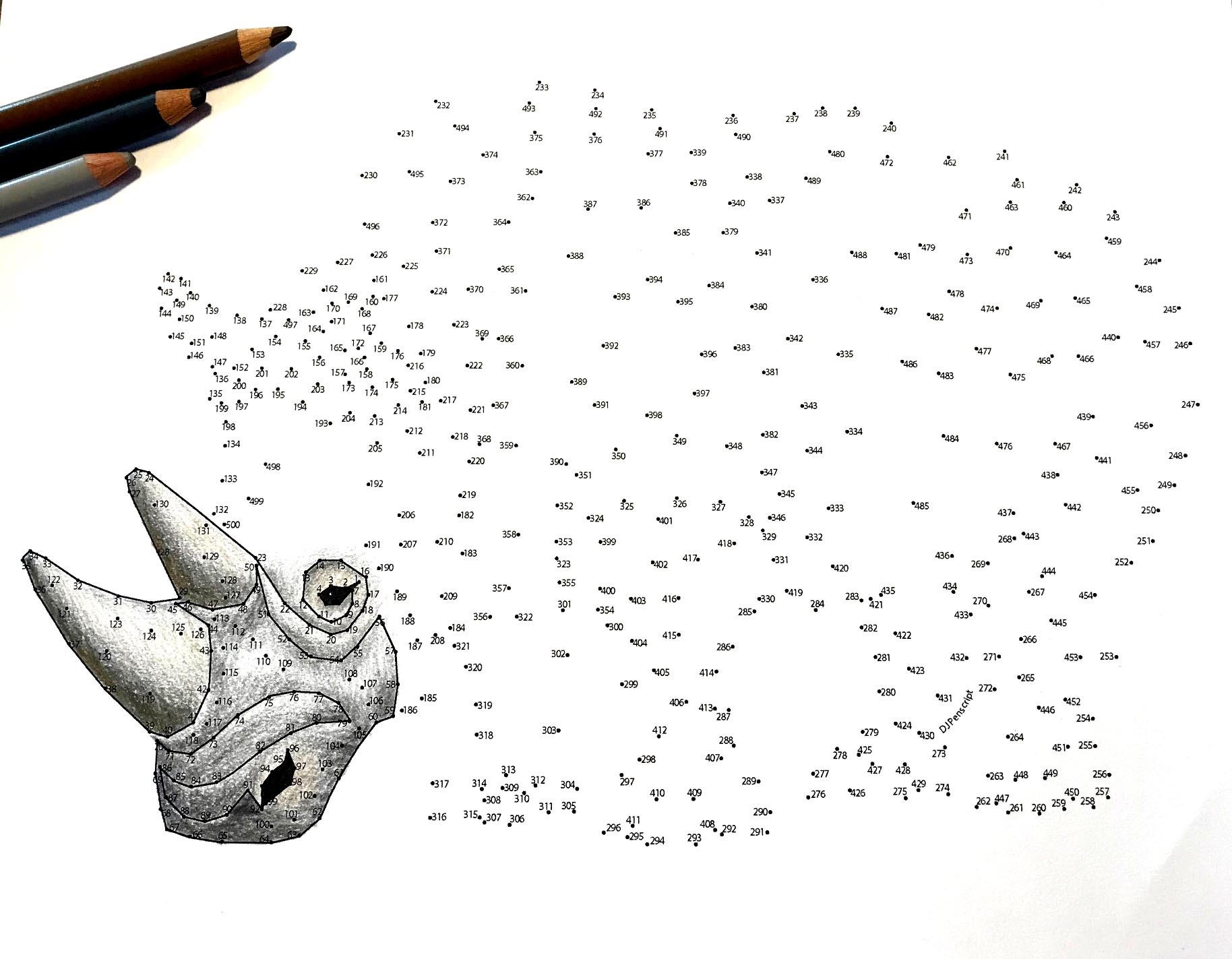Rhino Extreme Dot To Dot PDF Activity And Coloring Page