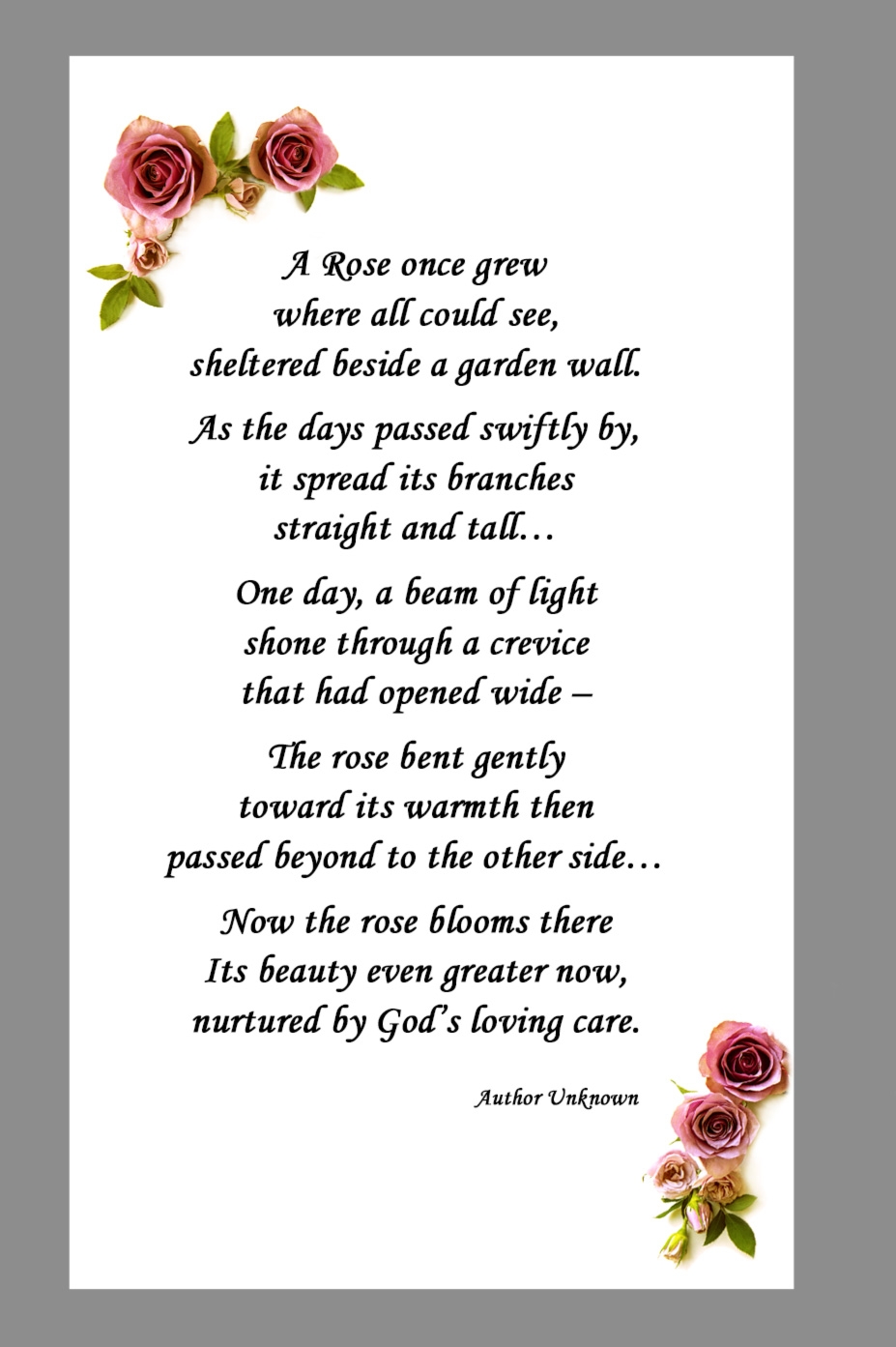 the rose beyond the wall printable