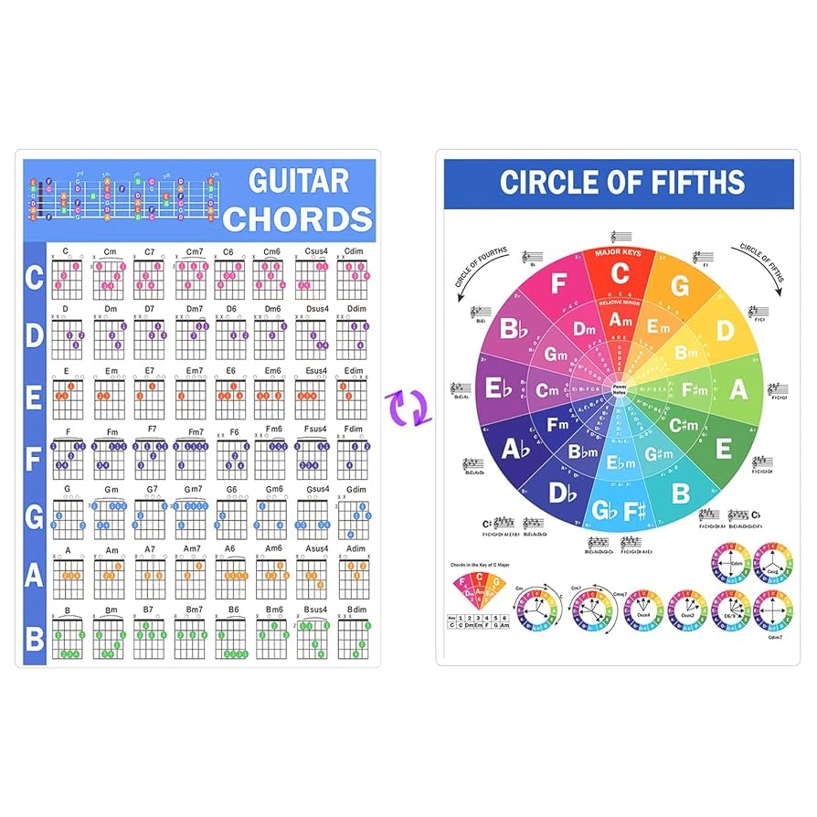 SAVITA Guitar Chord Poster 8 X 11 Inch Laminated Circle Of Fifths Chart Guitar Cheat Sheet For Beginners Music Theory Learning Accessories Amazon au Musical Instruments