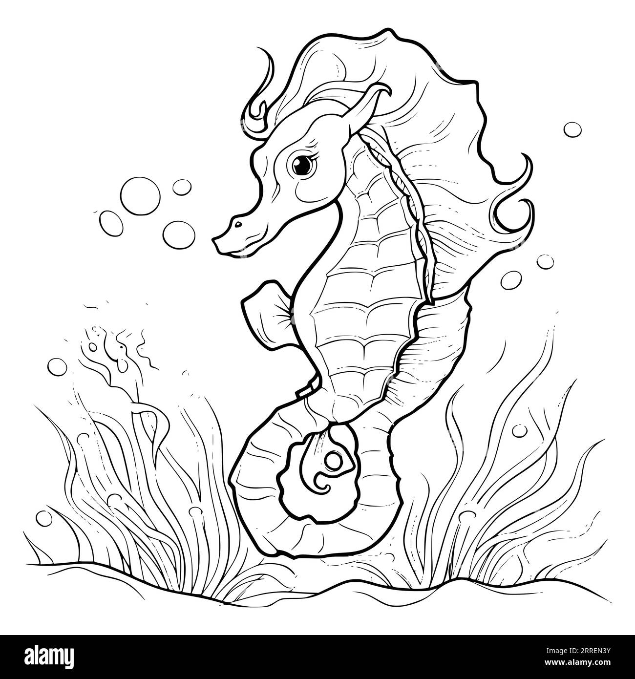free printable seahorse coloring pages
