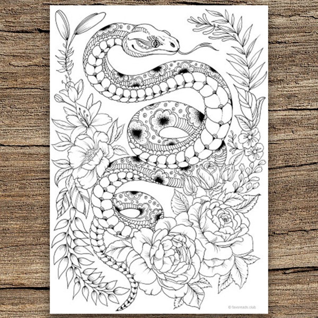 Snake Printable Adult Coloring Page From Favoreads coloring Book Pages For Adults And Kids Coloring Sheets Colouring Designs Etsy