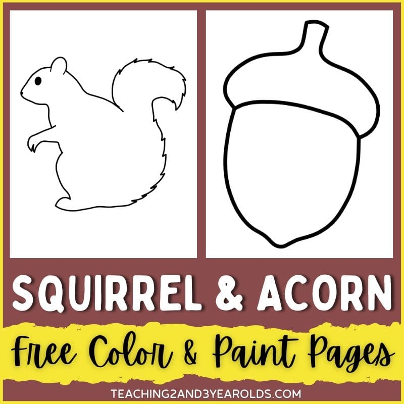 Squirrel And Acorn Printable Color Pages Squirrel And Acorn Printable Color Pages