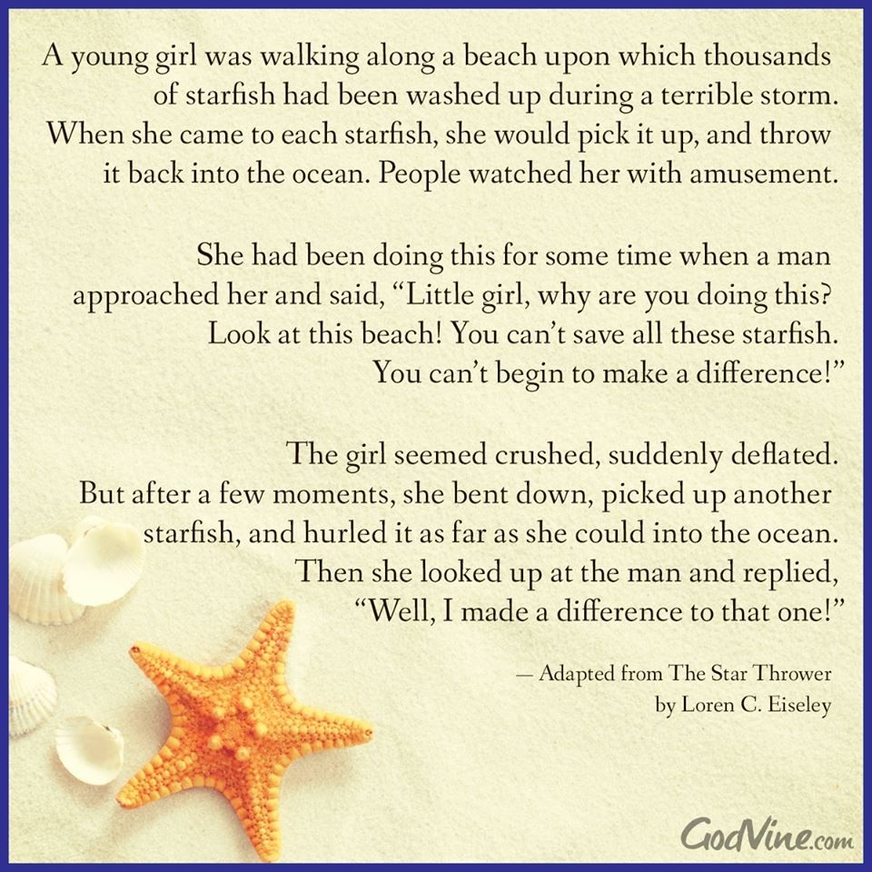 Starfish Story 35 Ideas To Save Today From  Starfish Story 35 Ideas To Save Today From