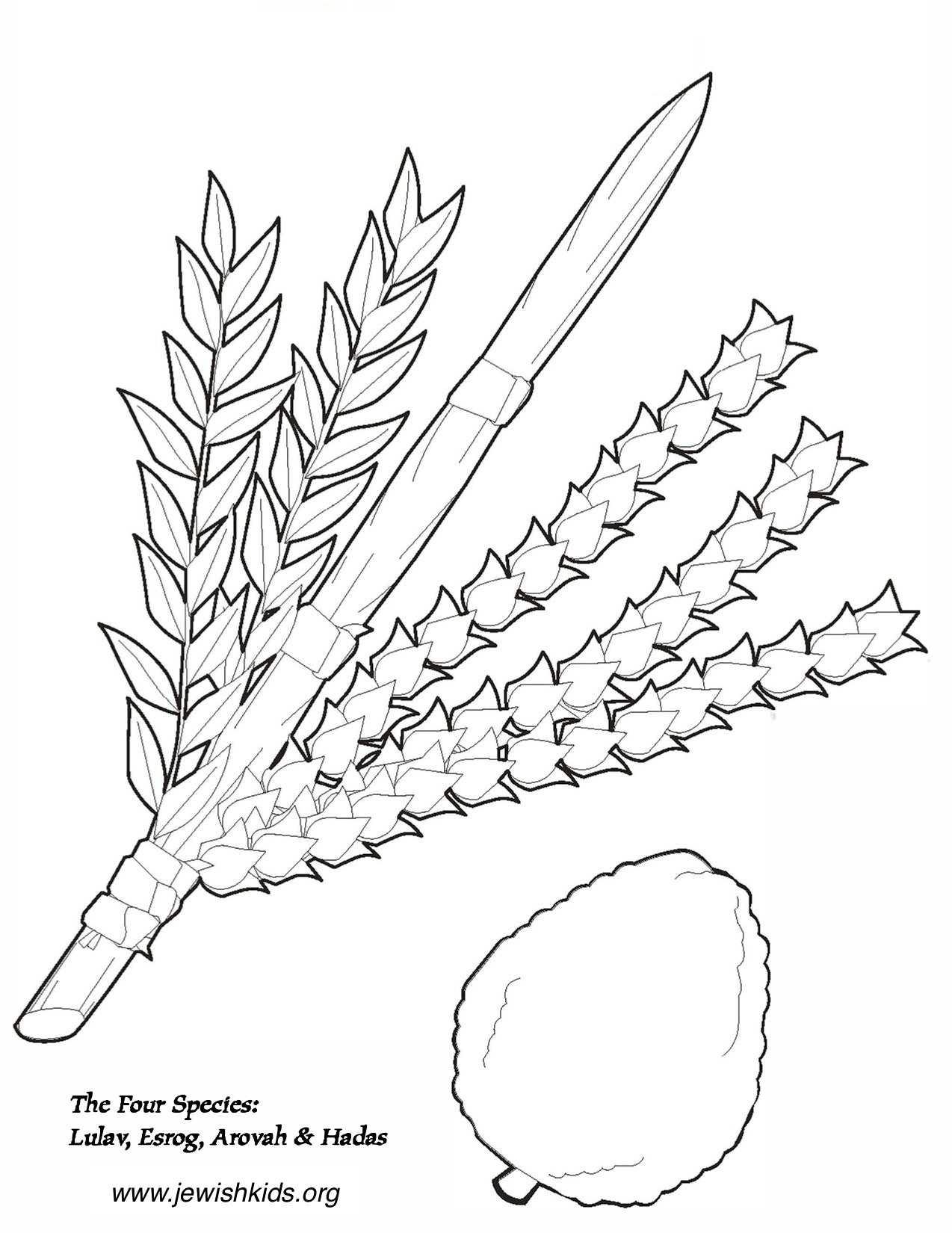 Sukkot Coloring Pages Crafts U0026 Coloring Pages Jewish Kids