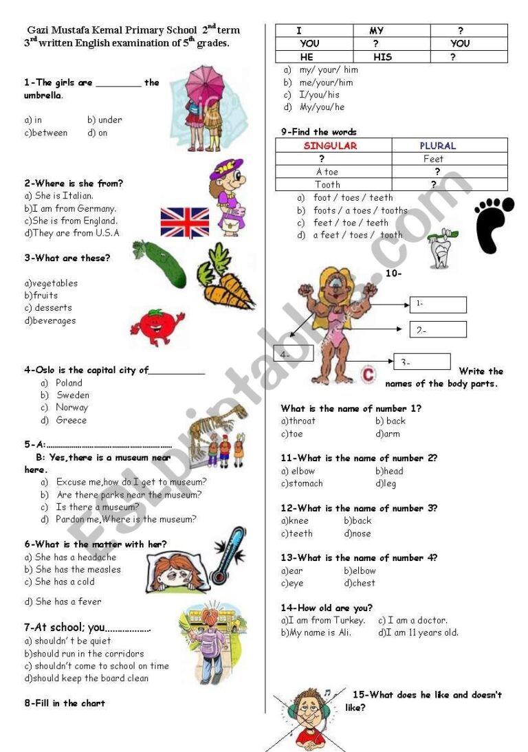 Test For Beginners ESL Worksheet By Spring