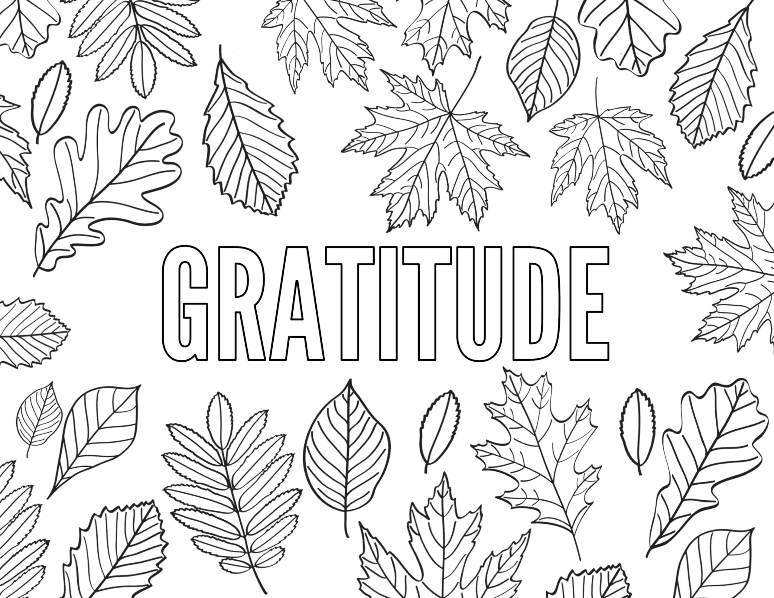 free printable thanksgiving coloring pages for adults