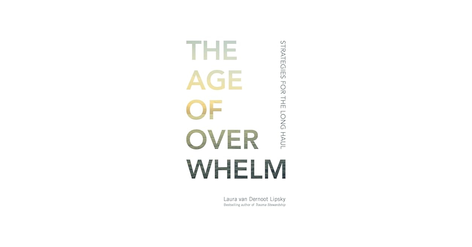 The Age Of Overwhelm Strategies For The Long Haul Van Dernoot Lipsky Laura 9781523094738 Amazon Books