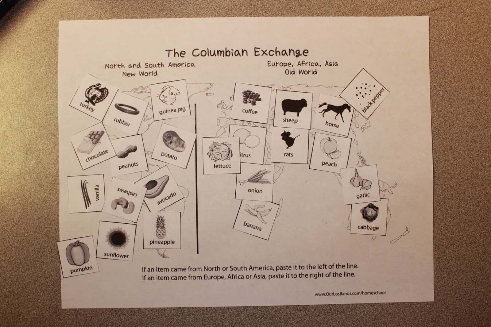 The Columbian Exchange FREE Printable