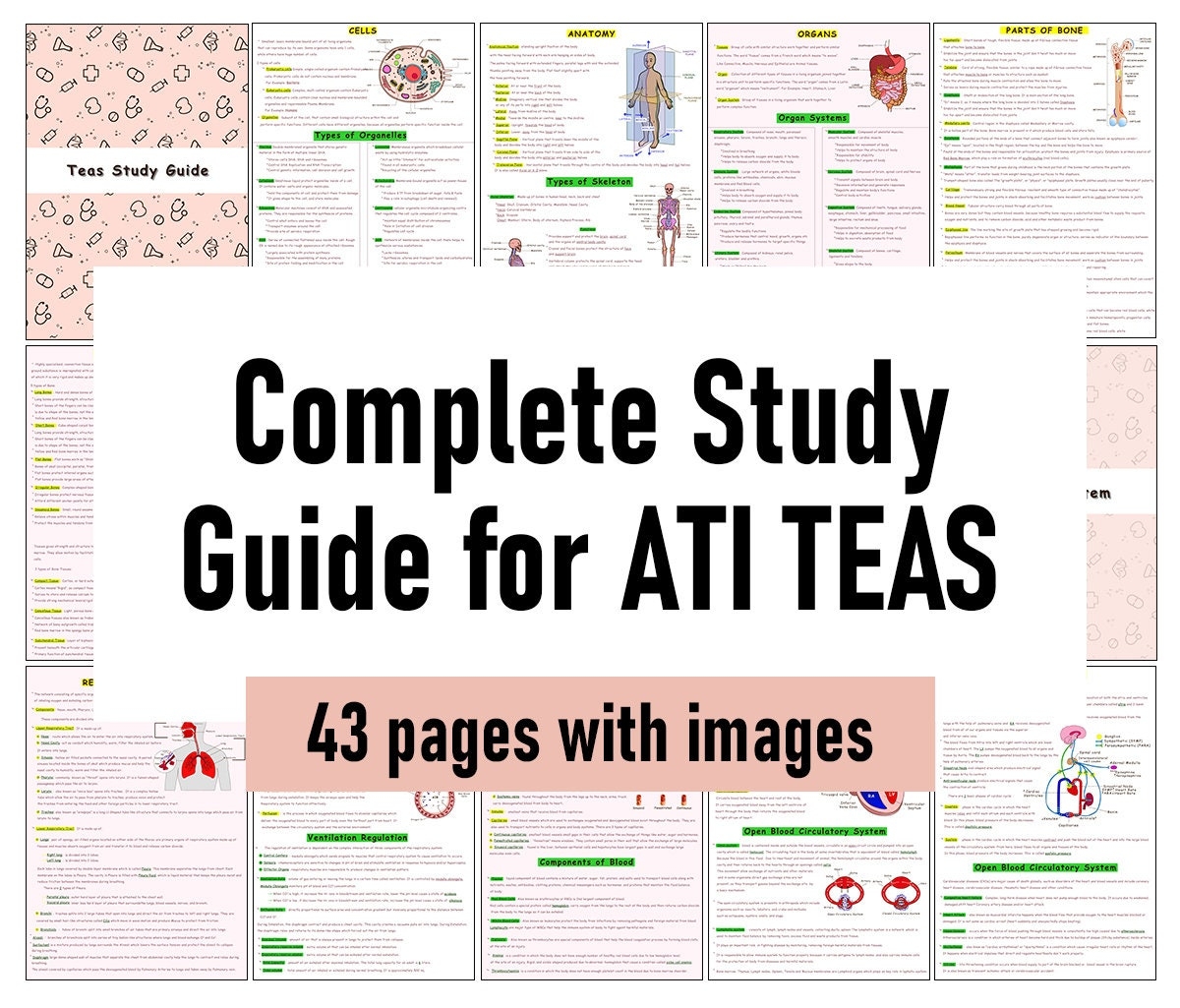 printable teas practice test