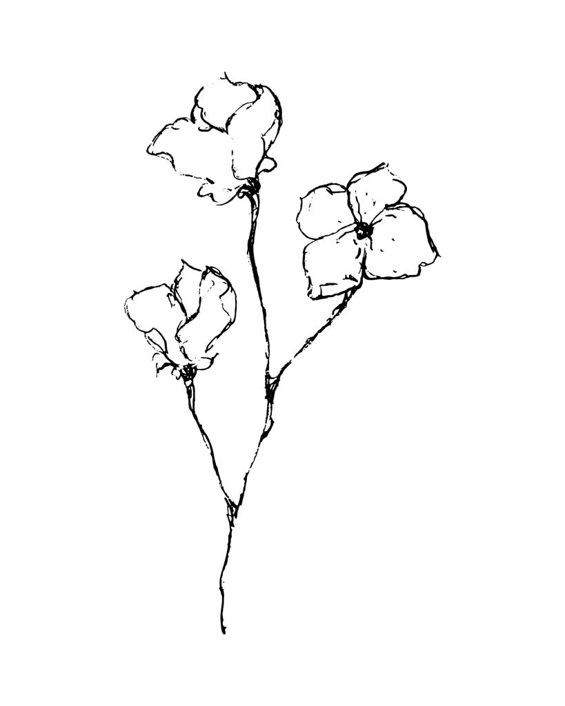 free printable black and white line drawings
