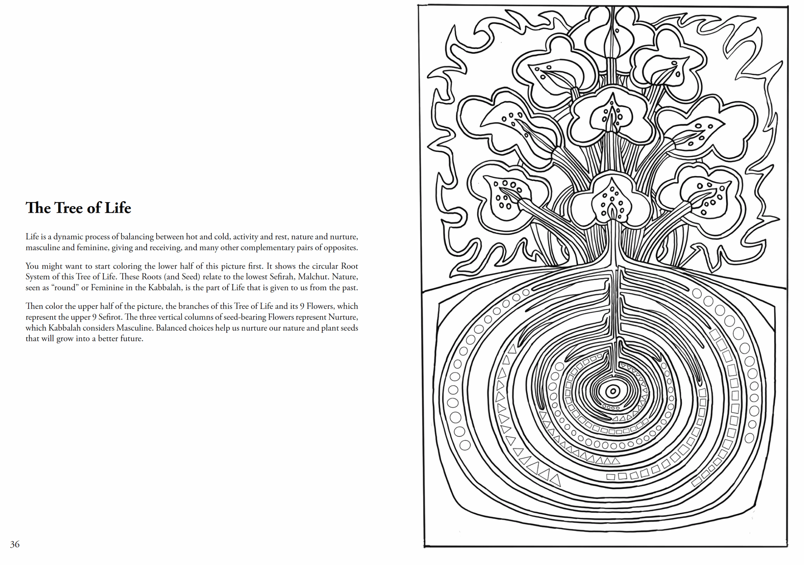 The Kabbalah Coloring Book A Book Of Creation By David Friedman