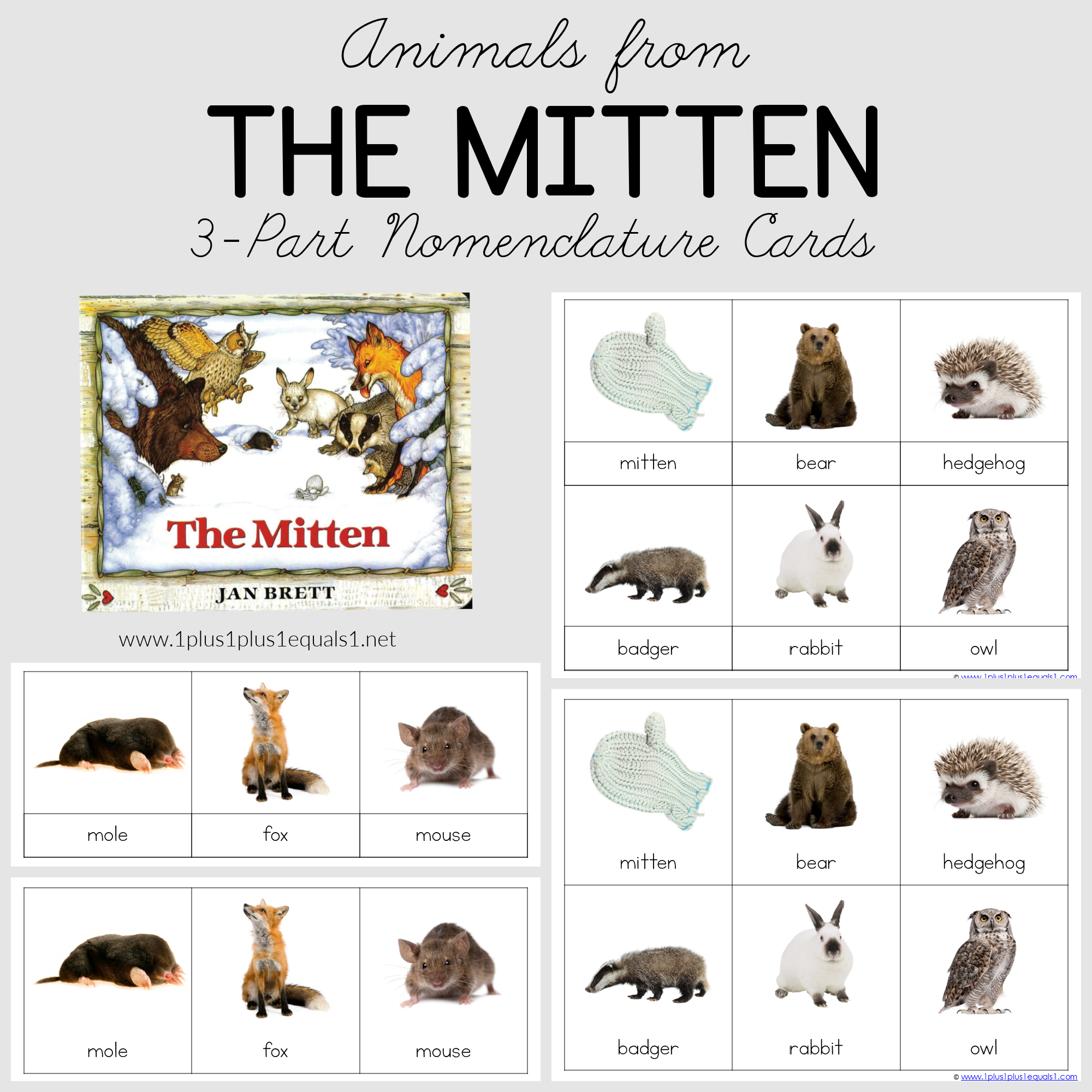 The Mitten 3 Part Cards 1 1 1u003d1