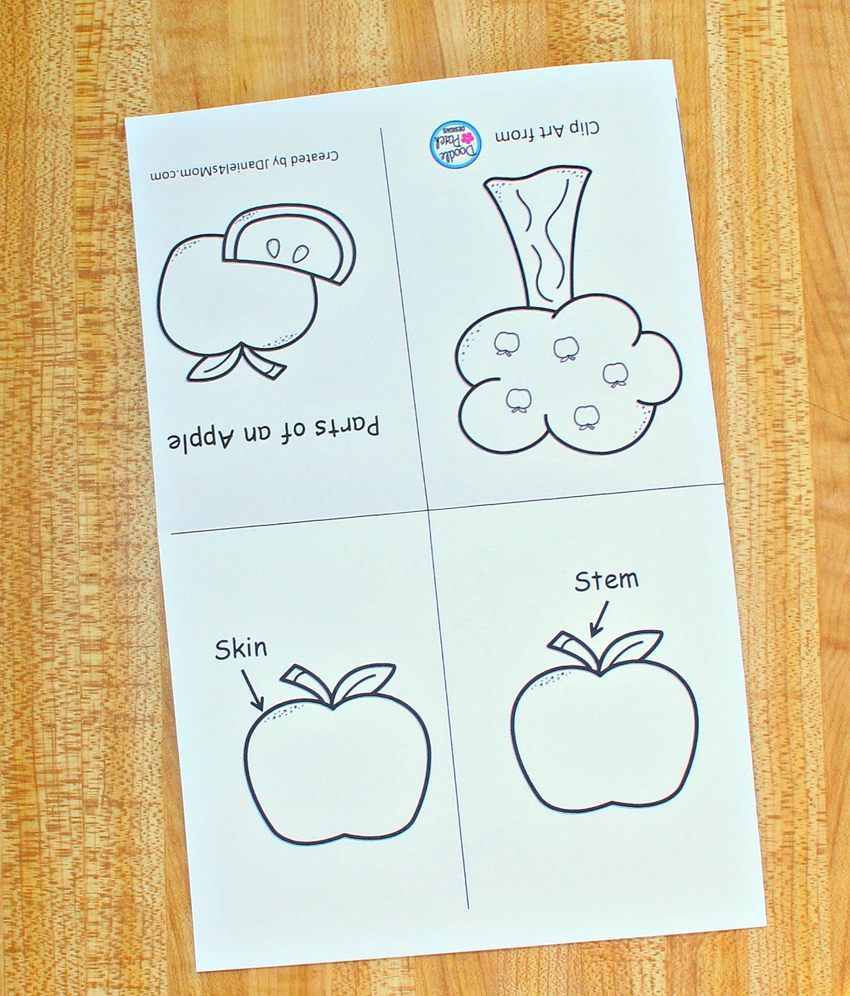 The Parts Of An Apple Printable Read And Color Book