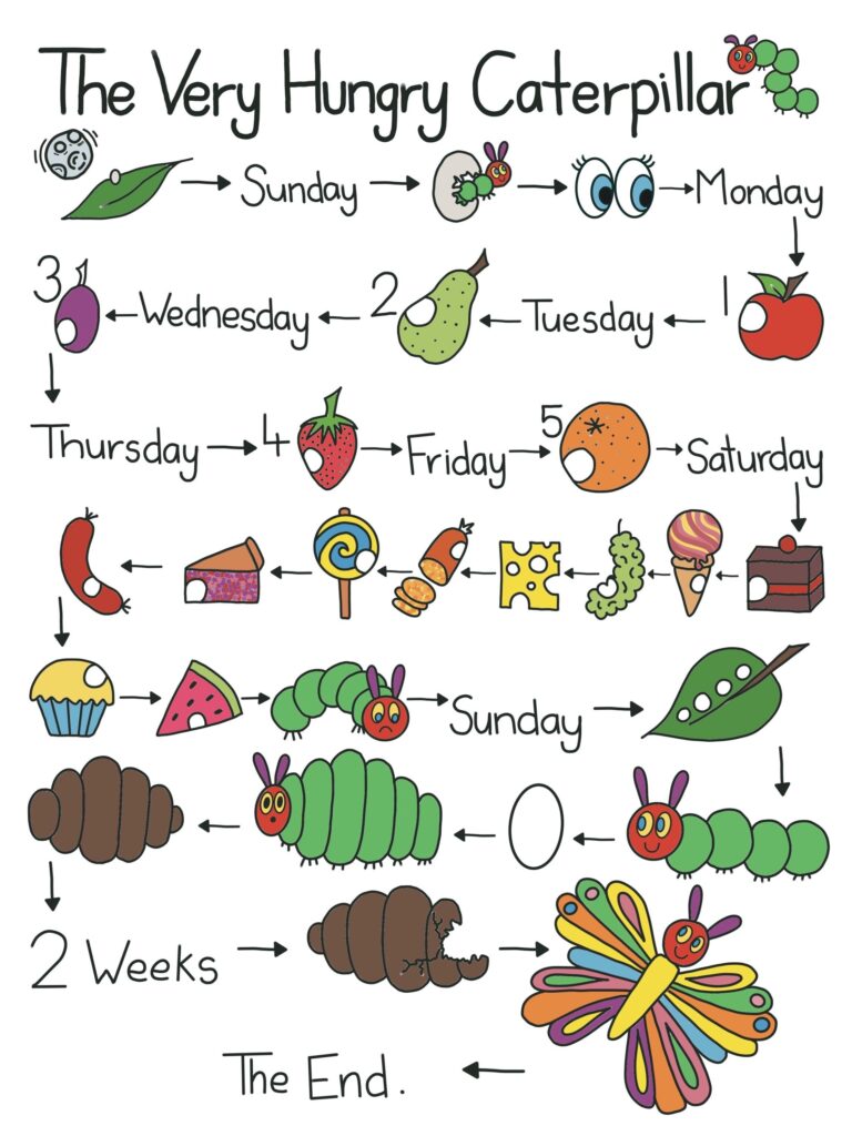 The Very Hungry Caterpillar Story Map Etsy