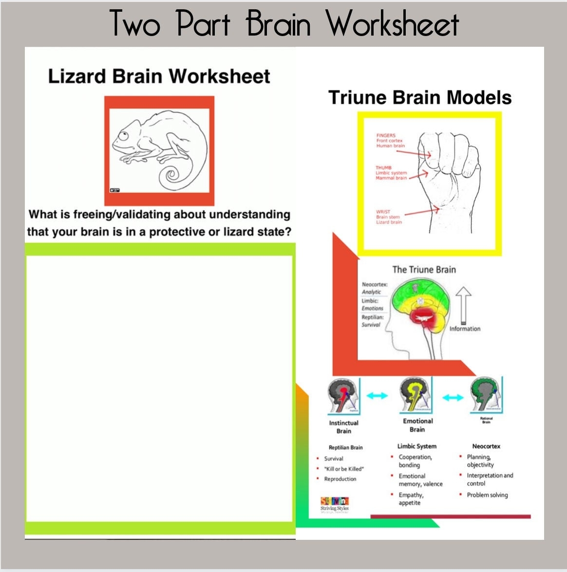 Therapy Brain Brain Worksheet Mental Health Therapy Therapist Brain Art Brain Model Trauma Trauma Nurse Traumatic Brain Injury Etsy