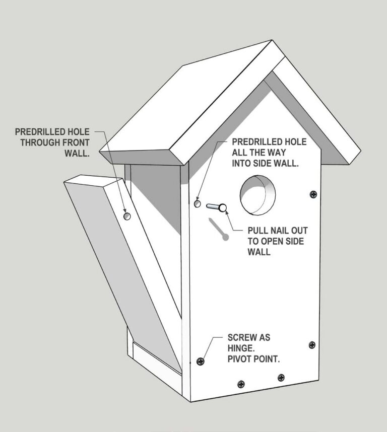 Three Designed Birdhouse Plans For Eastern Bluebirds Oklahoma 