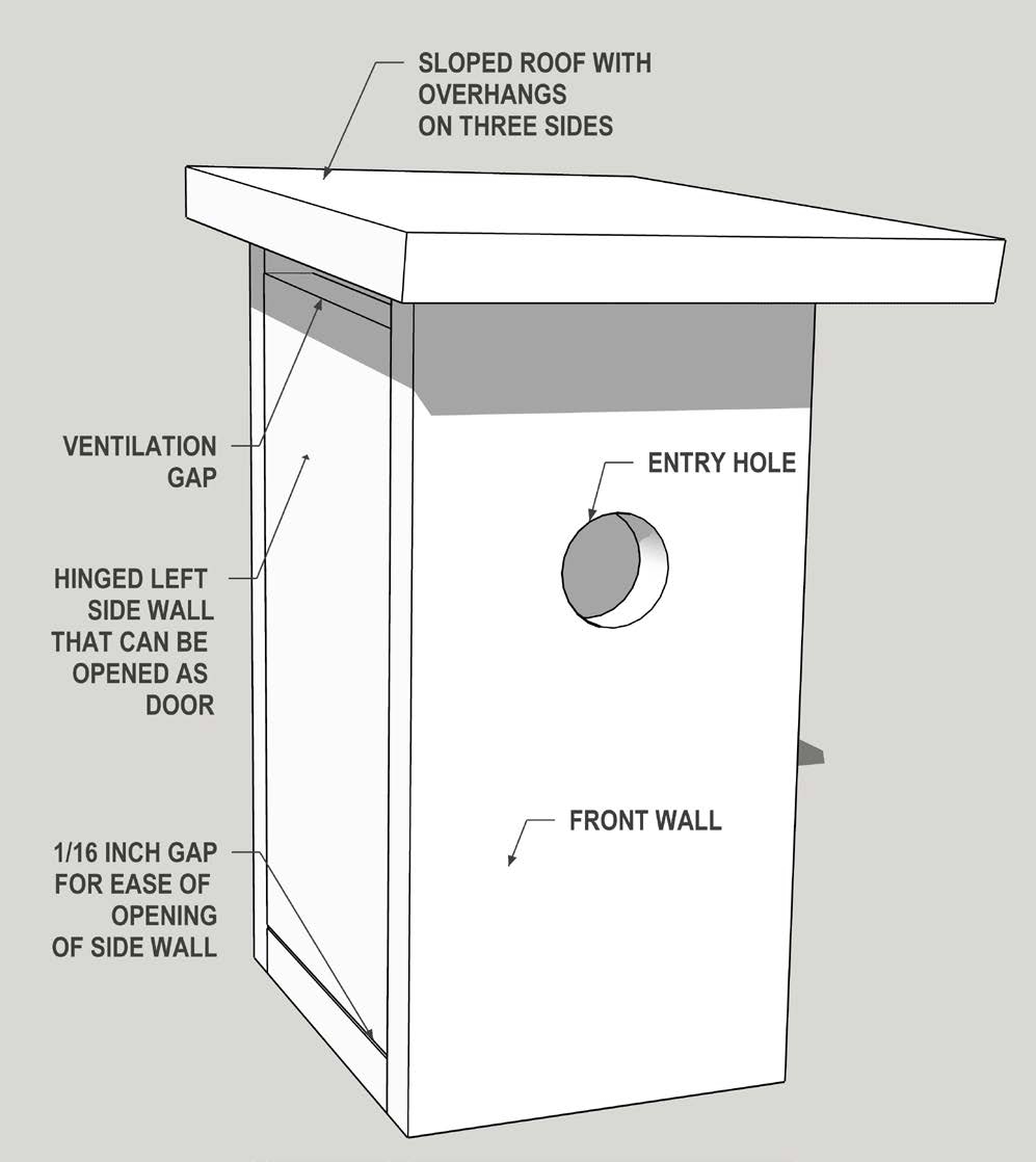birdhouse patterns free printable