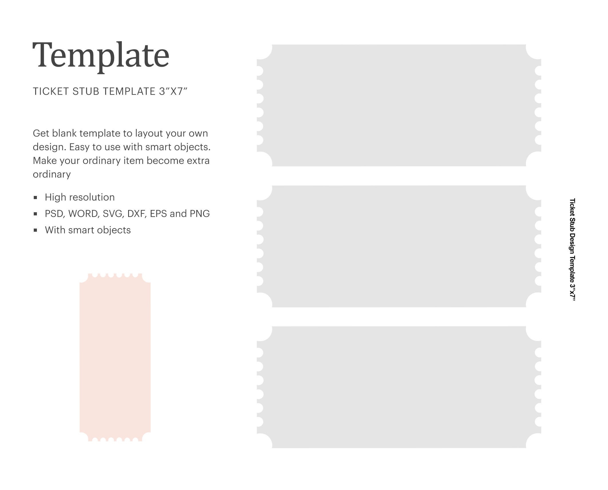Ticket Stub Blank Template 3