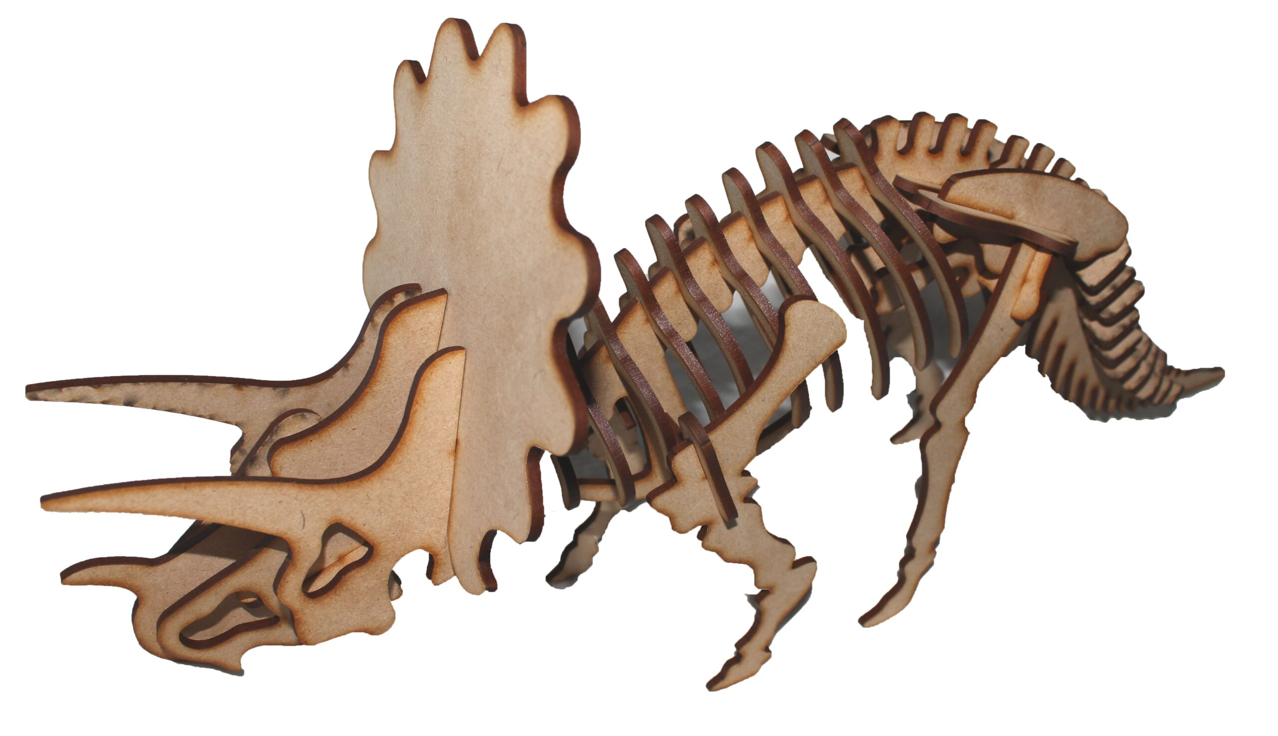 Triceratops 3D Puzzle Manufactured By Xplore Designs In Cape Town Triceratops 3D Puzzle Manufactured By Xplore Designs In Cape Town