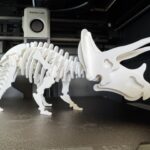 Triceratops Dinosaur Skeleton Puzzle Remixed By Hef413 MakerWorld Download Free 3D Models