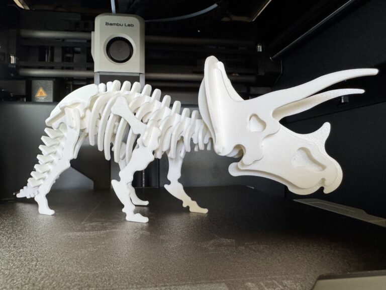 Triceratops Dinosaur Skeleton Puzzle Remixed By Hef413 MakerWorld Download Free 3D Models