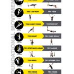 TRX Suspension Exercises Campus Recreation