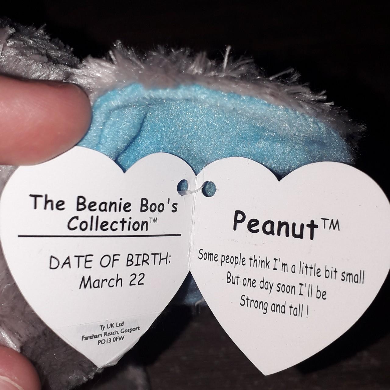 beanie boo tag printable