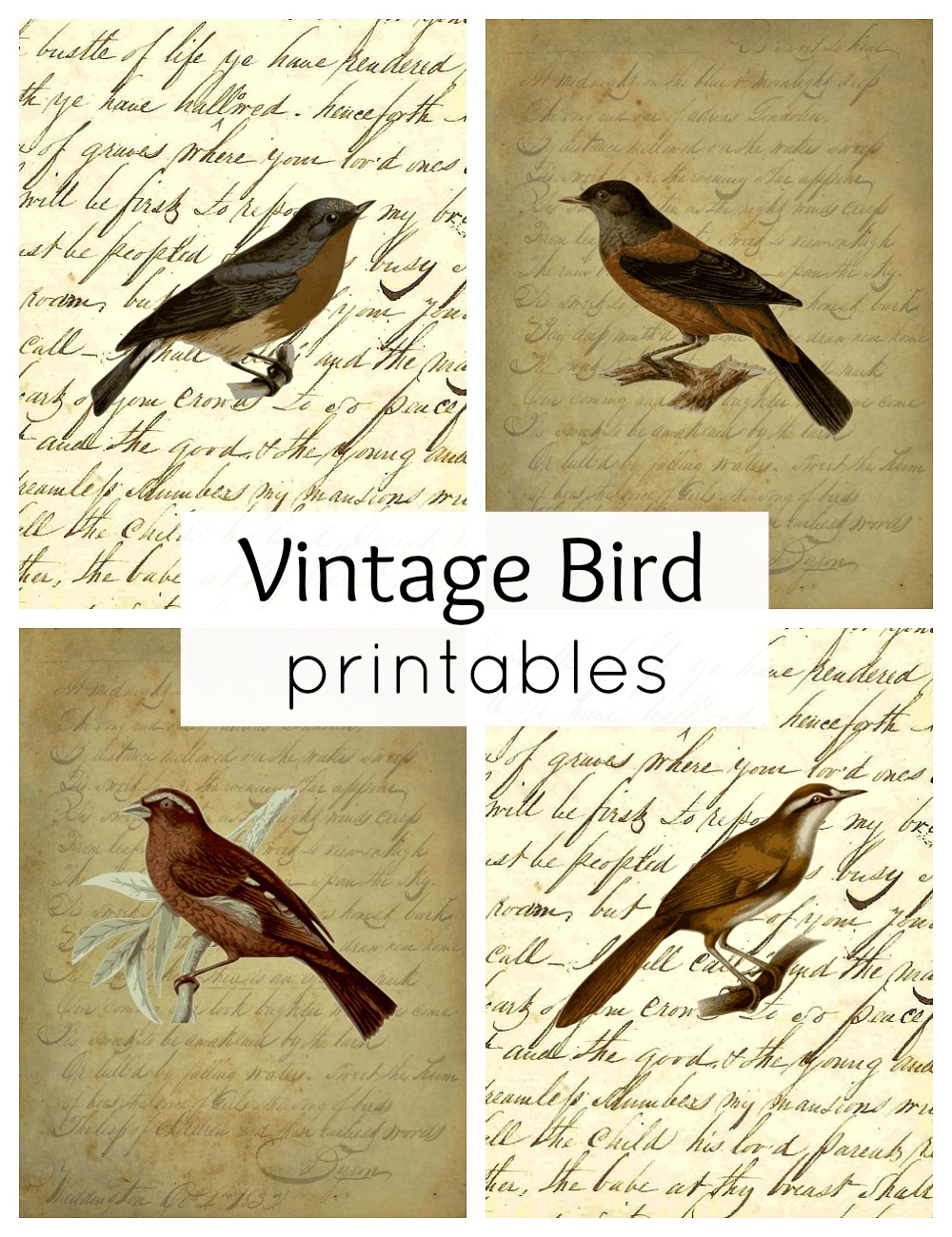 Vintage Bird Printables For Fall Town U0026 Country Living Vintage Bird Printables For Fall Town U0026 Country Living