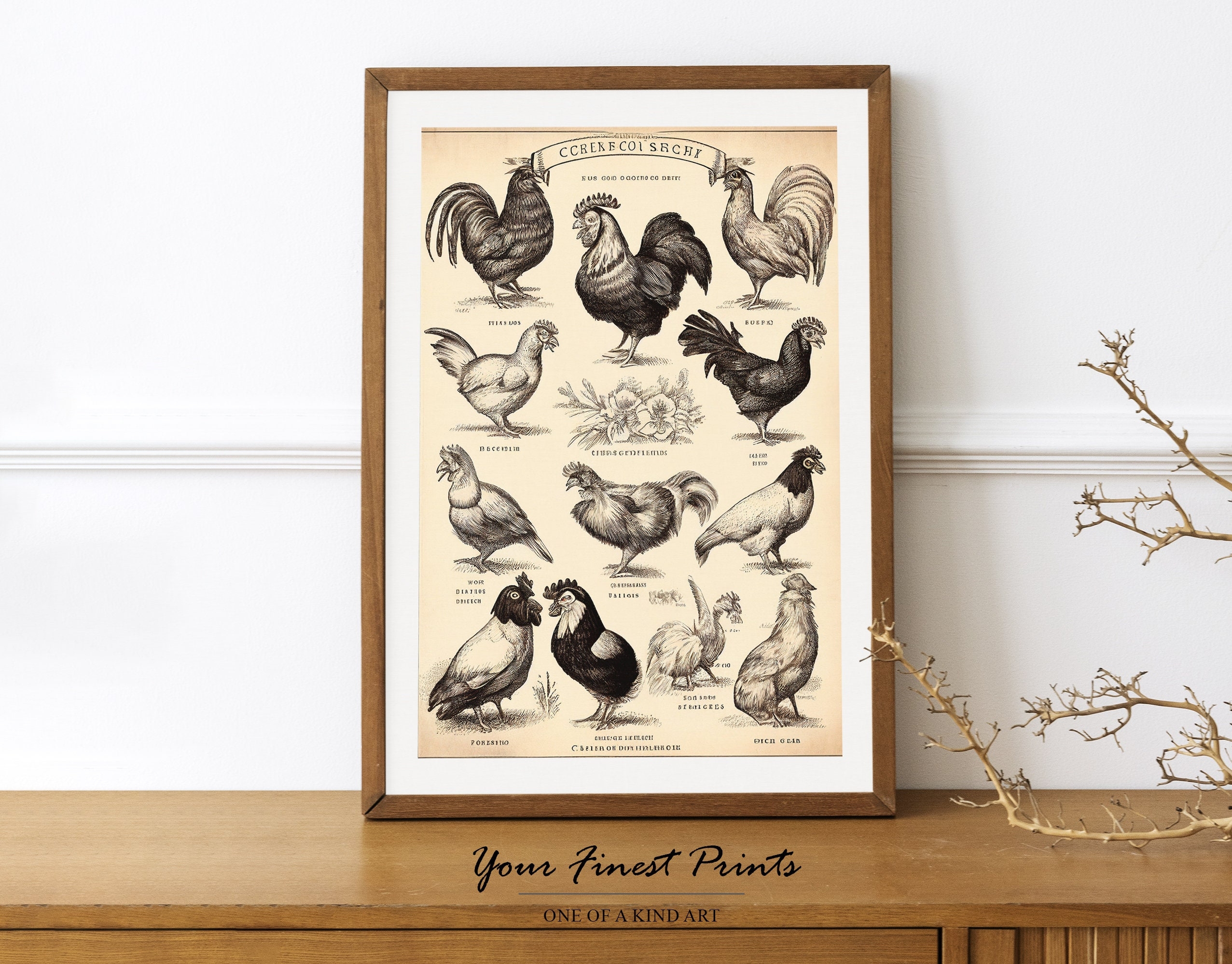 Vintage Chicken Breeds Kitchen Art Chicken Lover Antique Farm Print French Country Decor Printable Artwork Downloadable Print Etsy