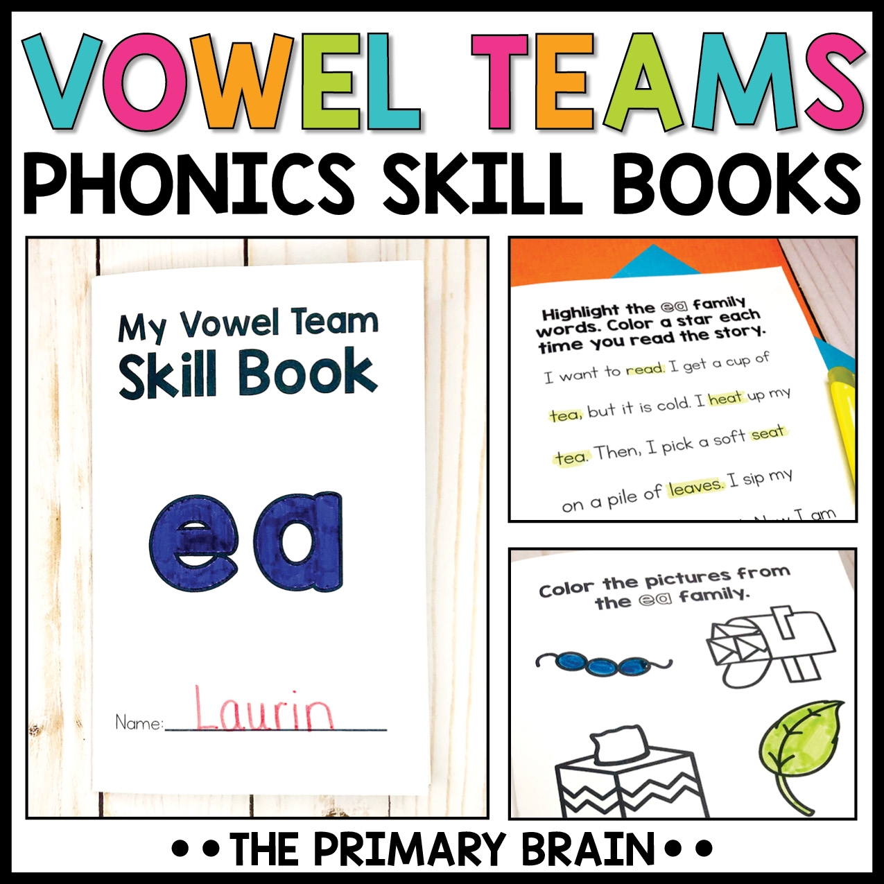 Vowel Teams Phonics Printable Book Word Family Readerss