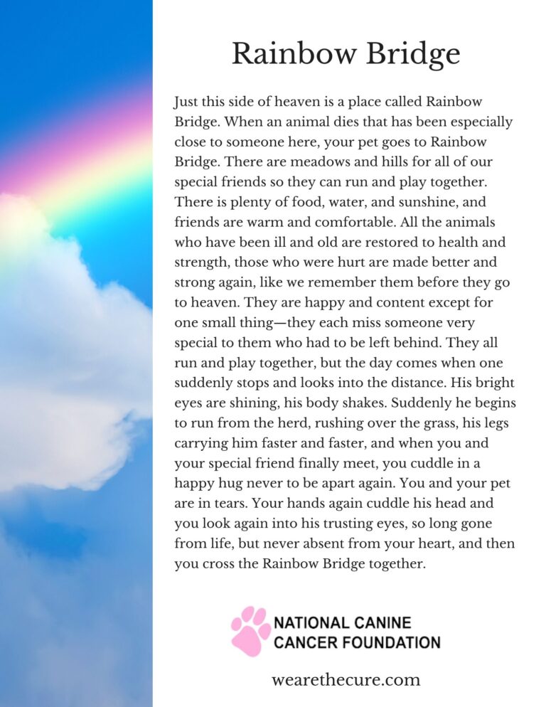 What The Rainbow Bridge Poem Gets Perfectly Right About Pet Loss