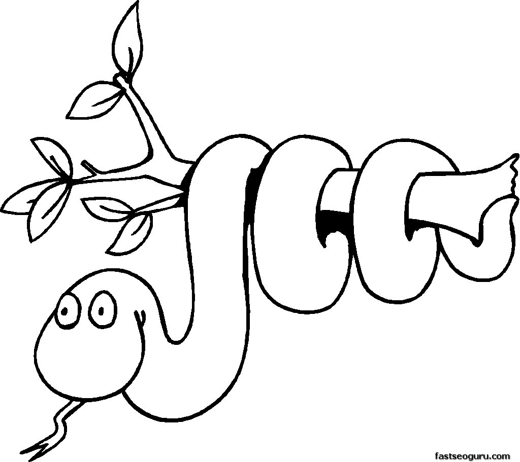 Wild Jungle Animals 21293 Animals Free Printable Coloring Pages Worksheets Library